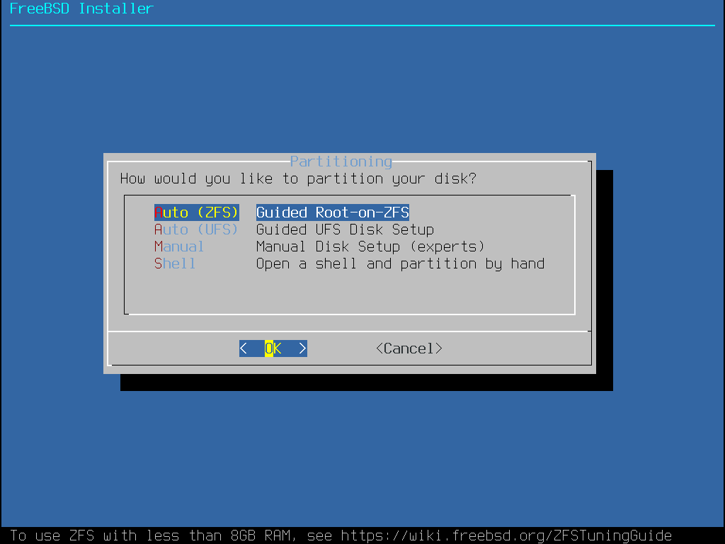 Shows the different partition options. Example: Manual