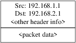 ipsec out pkt