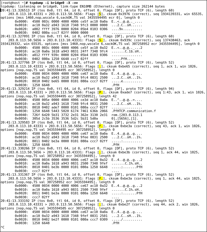 tcpdump(1) of Bridge Traffic During Transfer