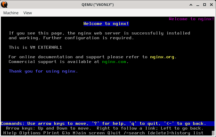 .Viewing the IPv4 Webpage of *external1* VM from IPv6 *v6only* VM.