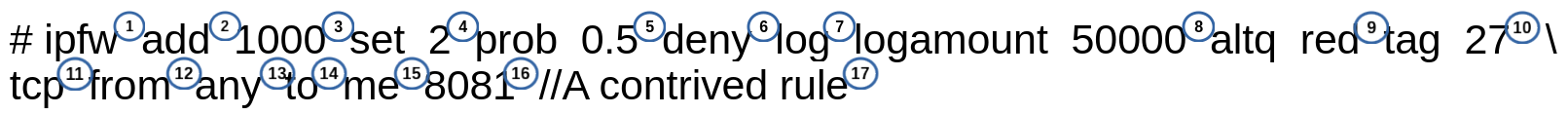 Description of *ipfw* Rule Syntax