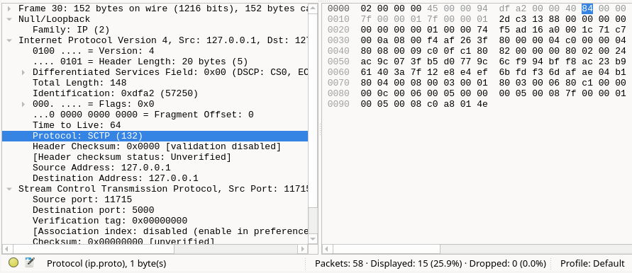 .Internal View of the SCTP INIT Data Packet