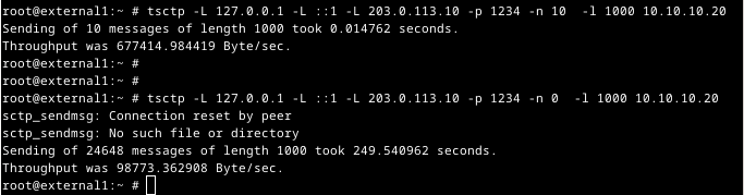 .IPFW Firewall Disrupts SCTP Traffic