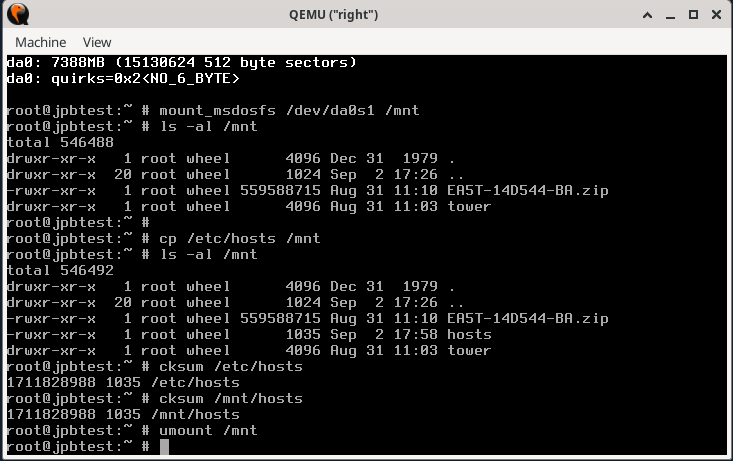 qemu freebsd19